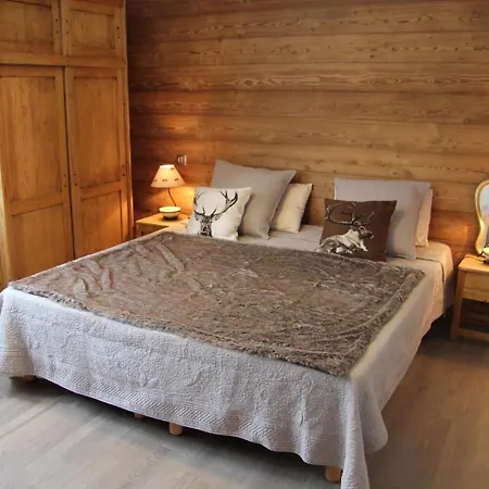 Superbe Aux Confins, Acces Direct Aux Pistes, 4 Chambres, Cheminee - Fr-1-459-4 *